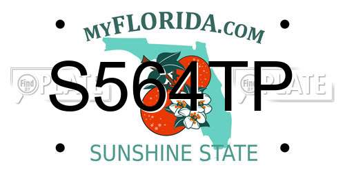 S564TP Florida License Plate