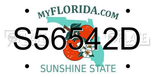 S56542D Florida License Plate