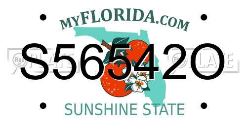 S56542O Florida License Plate