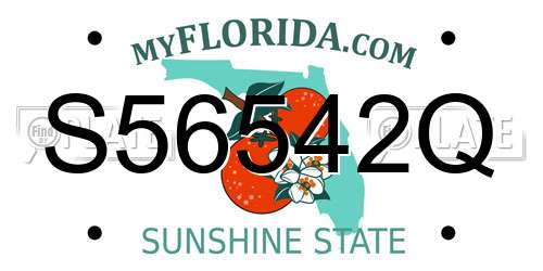 S56542Q Florida License Plate