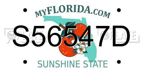 S56547D Florida License Plate