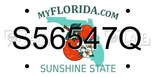 S56547Q Florida License Plate