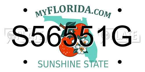 S56551G Florida License Plate