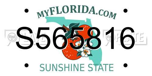 S565816 Florida License Plate