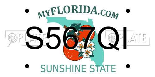 S567QI Florida License Plate