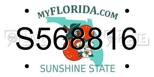 S568816 Florida License Plate