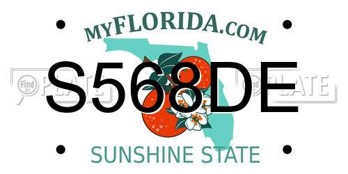 S568DE Florida License Plate