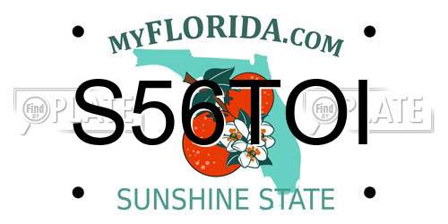 S56TOI Florida License Plate