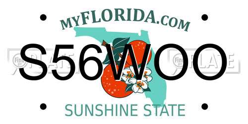 S56WOO Florida License Plate