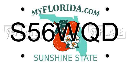 S56WQD Florida License Plate