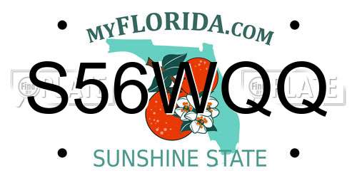 S56WQQ Florida License Plate