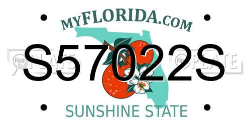 S57022S Florida License Plate