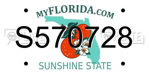S570728 Florida License Plate