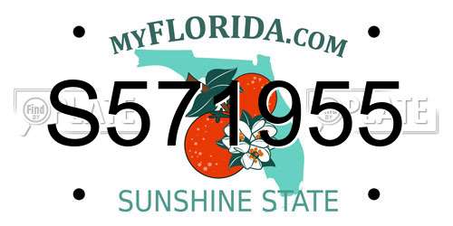 S571955 Florida License Plate
