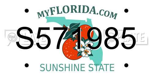 S571985 Florida License Plate
