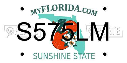 S575LM Florida License Plate