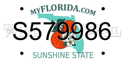 S579986 Florida License Plate