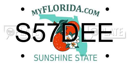 S57DEE Florida License Plate