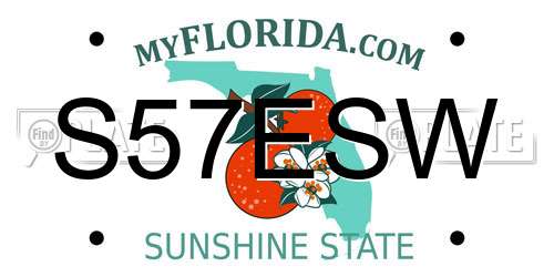 S57ESW Florida License Plate