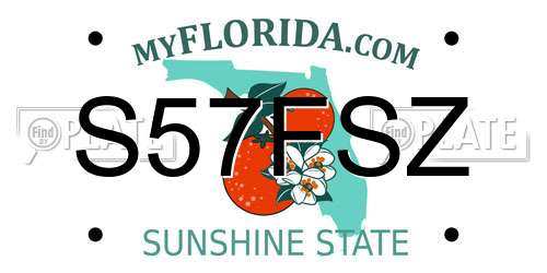 S57FSZ Florida License Plate