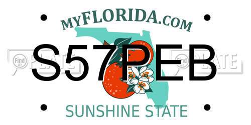S57PEB Florida License Plate