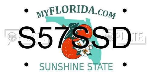 S57SSD Florida License Plate