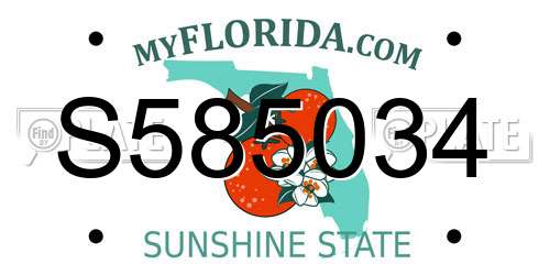 S585034 Florida License Plate