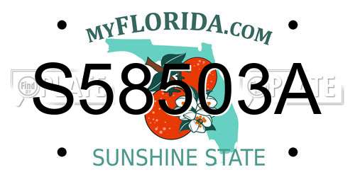 S58503A Florida License Plate