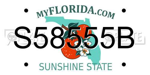 S58555B Florida License Plate