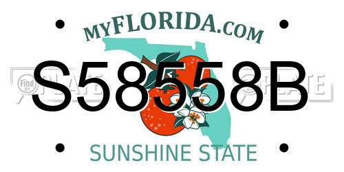 S58558B Florida License Plate