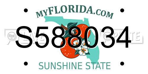 S588034 Florida License Plate