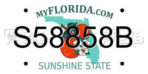 S58858B Florida License Plate