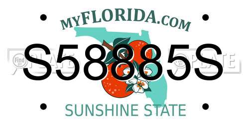 S58885S Florida License Plate