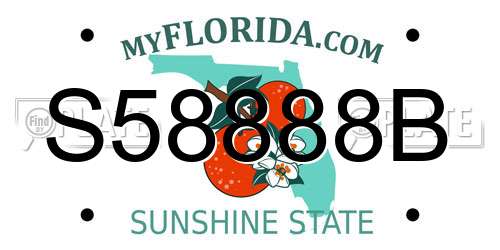 S58888B Florida License Plate