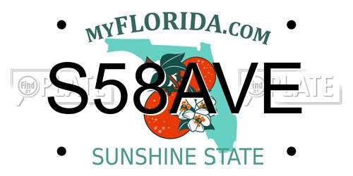 S58AVE Florida License Plate