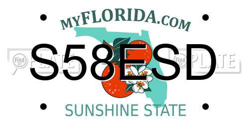 S58ESD Florida License Plate