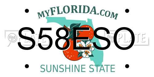 S58ESO Florida License Plate