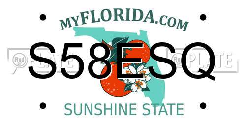 S58ESQ Florida License Plate