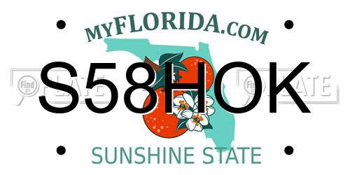 S58HOK Florida License Plate
