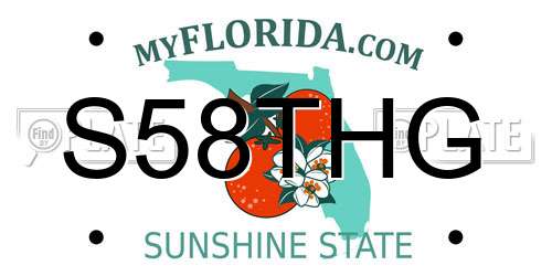 S58THG Florida License Plate