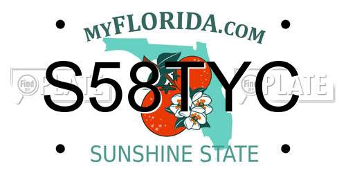 S58TYC Florida License Plate