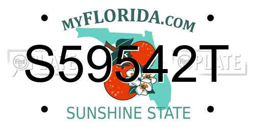 S59542T Florida License Plate