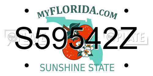 S59542Z Florida License Plate