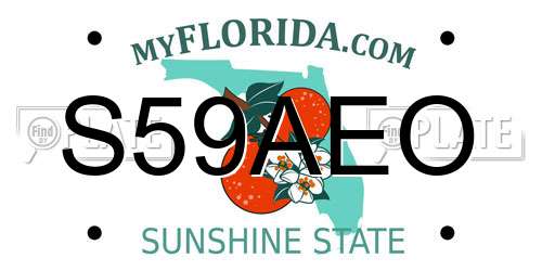 S59AEO Florida License Plate