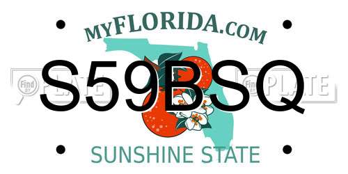 S59BSQ Florida License Plate