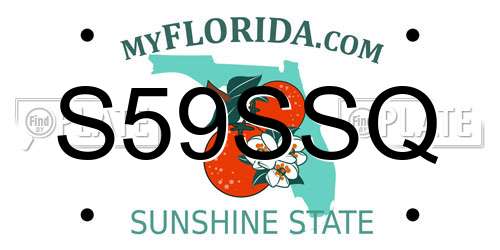 S59SSQ Florida License Plate
