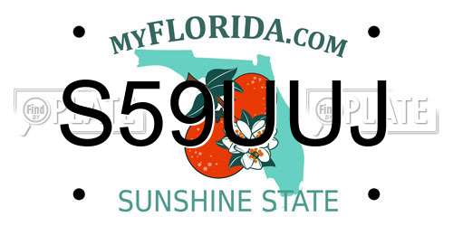 S59UUJ Florida License Plate