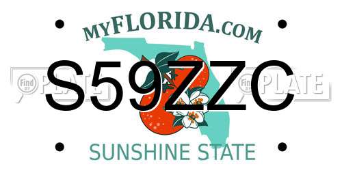 S59ZZC Florida License Plate