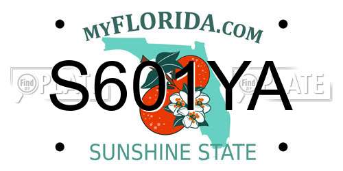 S601YA Florida License Plate