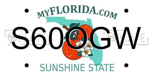 S60OGW Florida License Plate